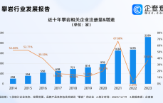 中产鸡娃撑起小众攀岩运动，今年攀岩企业已注册超2000家